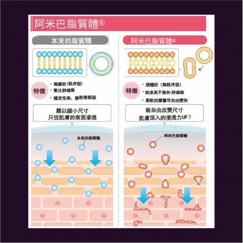 LAFIS Rich Gel 凝膠乳液 30g LAFIS Rich Gel 凝膠乳液 30g